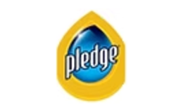 Pledge